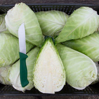 This is Brassica oleracea var. capitata. The common name for this is Caraflex Pointed Cabbage. Whimsy and Wonder Seeds sells the freshest of heirloom seeds, vegetable seeds and rare garden seeds. Check this San Brassica oleracea var. capitata(Caraflex Pointed Cabbage) out along with all of our Heirloom vegetables and rare garden plant seeds hereat Whimsy and Wonder Seeds. We ship these garden seeds from Canada to anywhere in the World.
